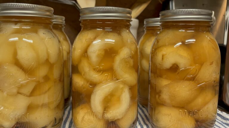 “Preserving Pear Perfection: Your Ultimate Guide to Canning and Storing Pears”